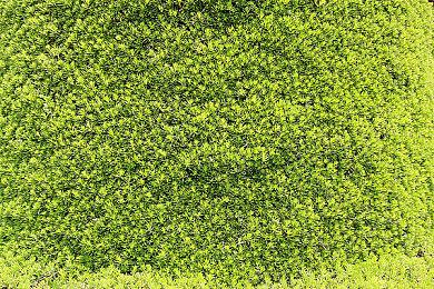 Crytek出品《猎杀：对决》1.6版本及全新地图现已登陆PC端！大表哥式恐怖西部城镇！